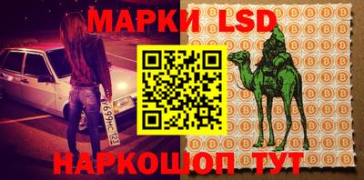 PSILOCYBIN Гатчина