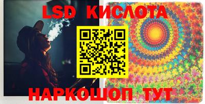 PSILOCYBIN Гатчина