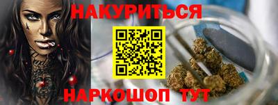 PSILOCYBIN Гатчина