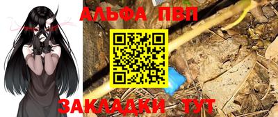 PSILOCYBIN Гатчина