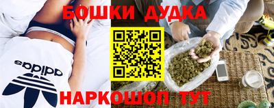 PSILOCYBIN Гатчина
