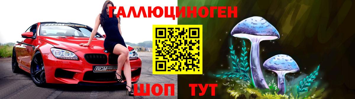 Галлюциногенные грибы Psilocybine cubensis Назарово